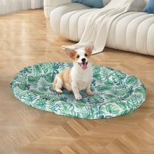 Clifford Dog Cooling Mat